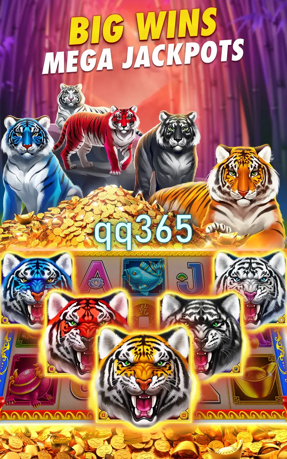 qq365 Masuk